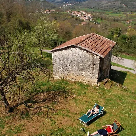 Tranquill